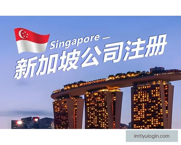 IM体育平台注册流程详解新手快速开户步骤与注意事项全面指南