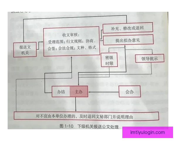 开云注册平台全流程指南与安全使用技巧详解新手必看攻略完整实用